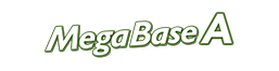 Mega Base A