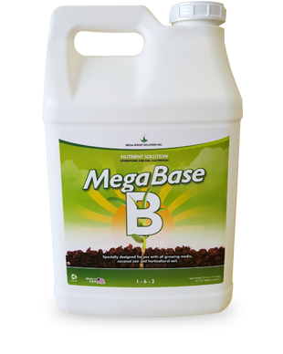 Mega Base B