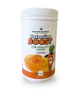 Potasssium Boost