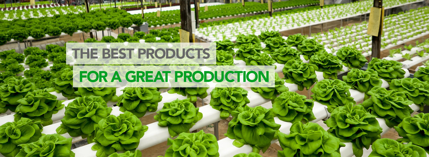 The best products for a great production